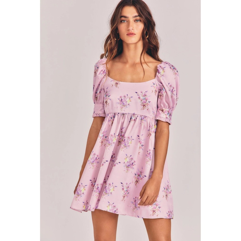 LoveShackFancy Bennington Dress Size 2 Ballet Slipper Pink Coquette Dainty Satin